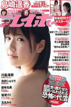 红楼梦电视剧87版
