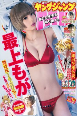 《花开与你的半夏》