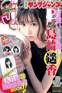 《电影香江之功夫世家》