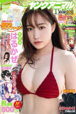 霹雳战元史之动机风云