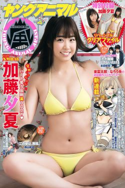 泰罗